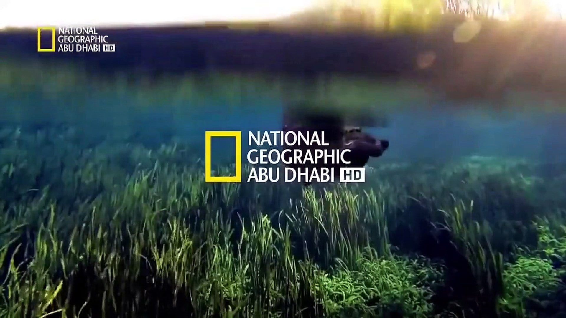 استقبل تردد قناة ناشيونال جيوغرافيك العربية National Geographic AR HD الجديد 2023