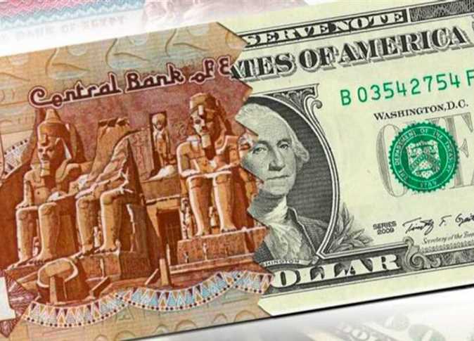استقرار أسعار الدولار مقابل الجنيه المصري