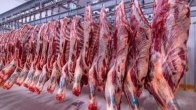 أسعار اللحوم في المنافذ ومحلات الجزارة