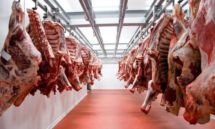 اسعار اللحوم اليوم 25 مايو