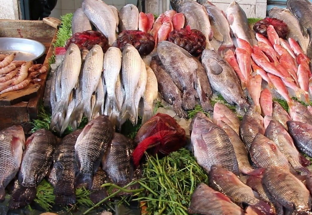 الجمبري يصل لـ 480 جنيه… أسعار الأسماك في سوق العبور 2023