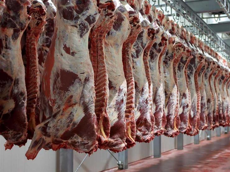 منافذ وزارة الزارعة لبيع اللحوم قبل عيد الأضحى المبارك 2023