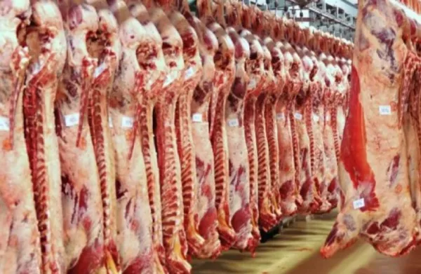 أسعار اللحوم اليوم 21 يونيو