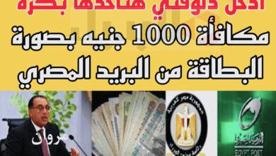 مكافأة 1000 جنيه بصورة البطاقة من البريد المصري