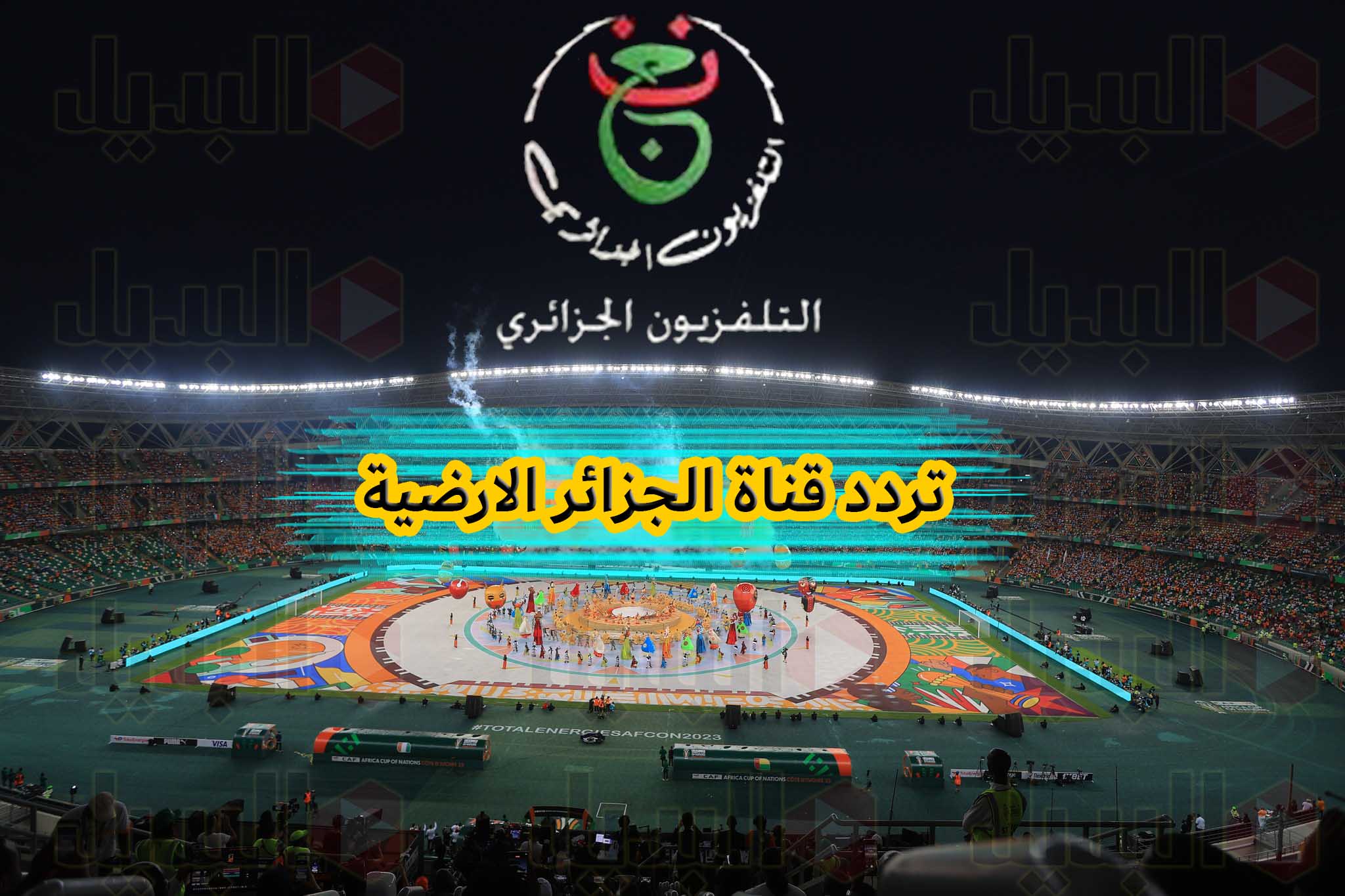 تردد قناة الجزائر الارضية الناقلة كأس أمم افريقيا 2023