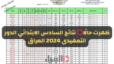 الآن PDF ⭕️ نتائج السادس الابتدائي الدور التمهيدي 2024 العراق جميع المحافظات nataegna