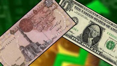 "الجنية يواصل السقوط أمام الدولار" .. رسميا في البنوك المصرية الجنية يصل 45 جنية وزيادة الفائدة إلى 6% الأربعاء 6 مارس 2024