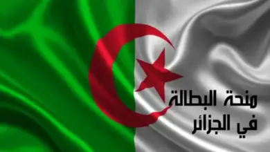 منحة البطالة في الجزائر
