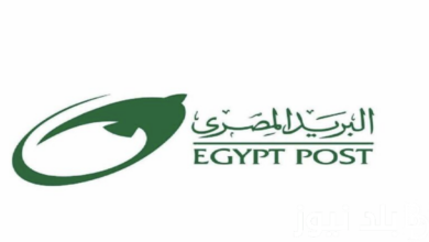 نتيجة وظائف البريد المصري 2024