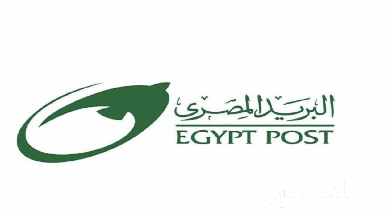 نتيجة وظائف البريد المصري 2024