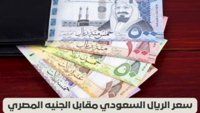  سعر الريال السعودي أمام الجنيه المصري