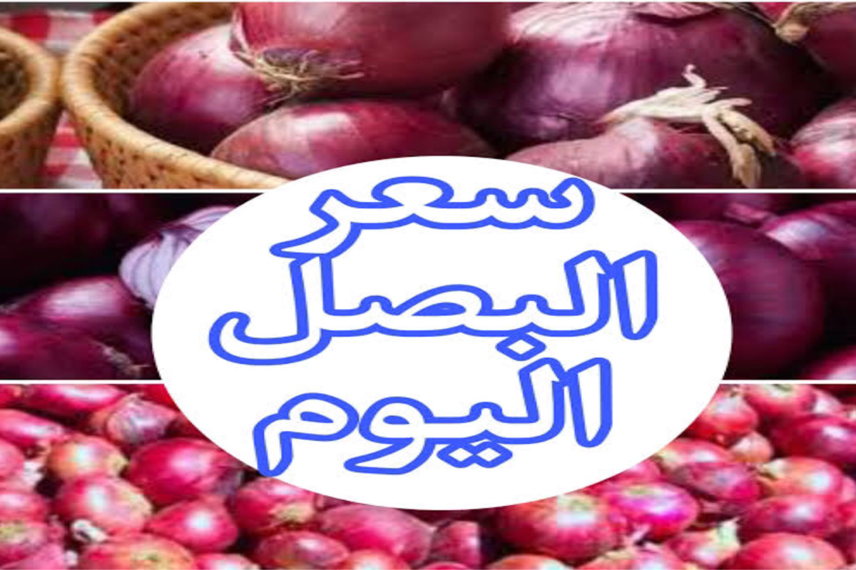 “سعره نزل النص" اسعار البصل اليوم في الاسواق + سوق العبور.. موسم جديد كله بشاير