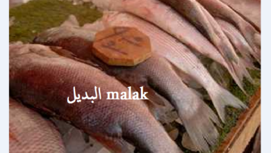 أسعار الأسماك اليوم الخميس 25 أبريل 2024