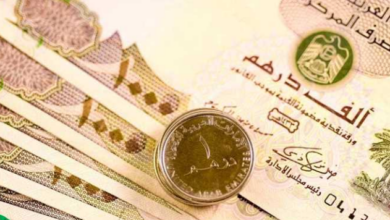 سعر الدرهم الإماراتي أمام الجنية المصري