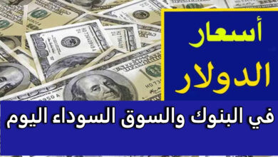 سعر الدولار اليوم في السوق السوداء الجمعة والبنوك المصرية