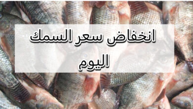 انخفاض كبير في سعر السمك .. أسعار السمك اليوم في مصر بعد المقاطعة