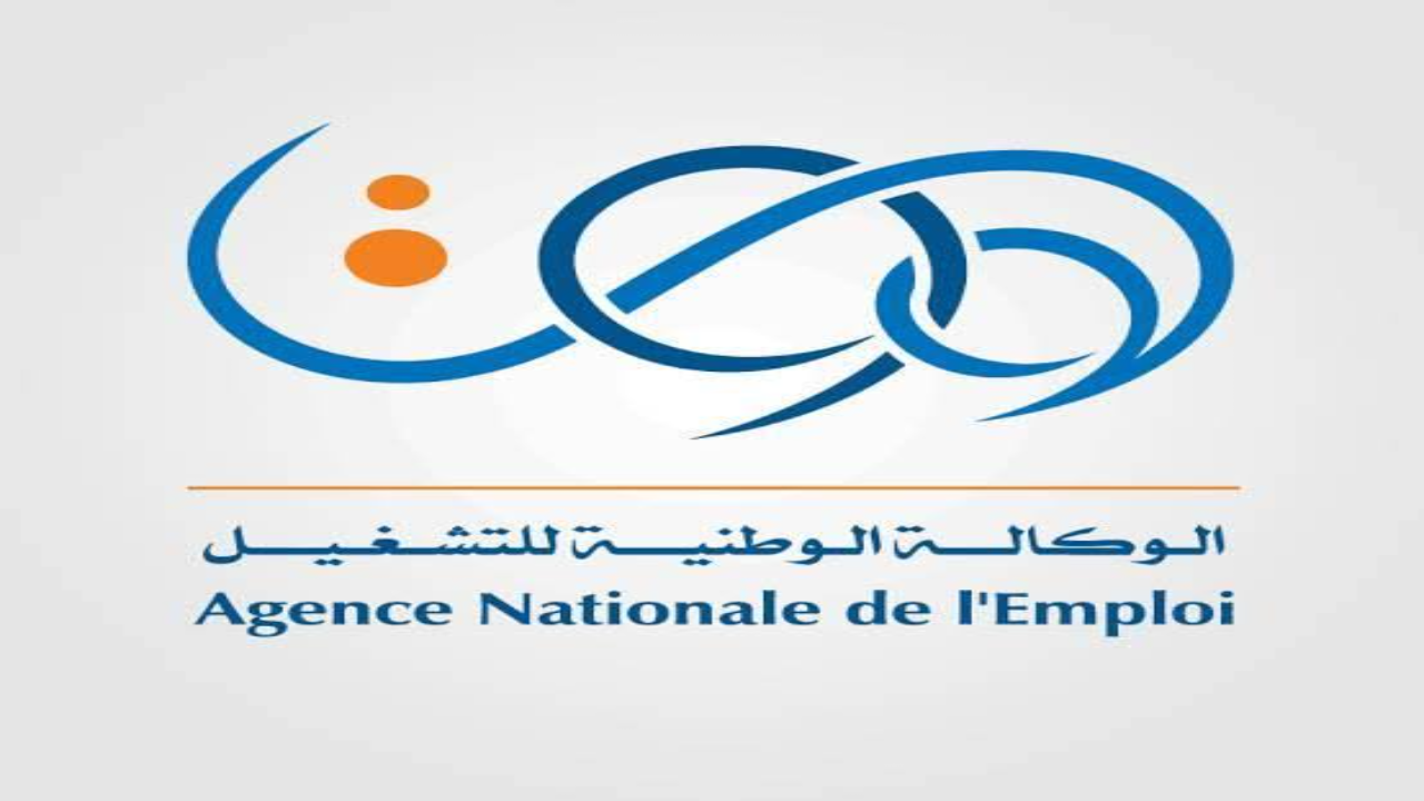 رابط تجديد منحة البطالة بالجزائر 2024