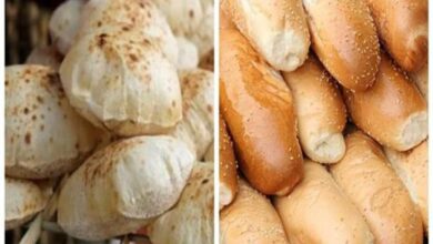 بعد قرار تخفيضهما".. تعرف على سعر الفينو والخبز السياحي في مصر