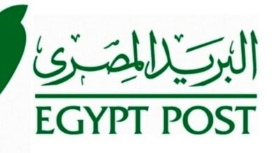 رابط الاستعلام عن نتيجة وظائف البريد المصري 2024