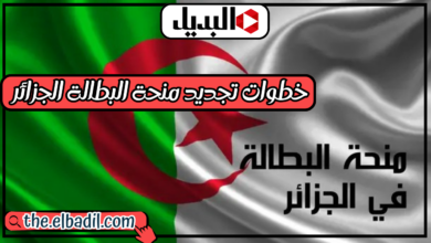 شروط وخطوات تجديد منحة البطالة الجزائر